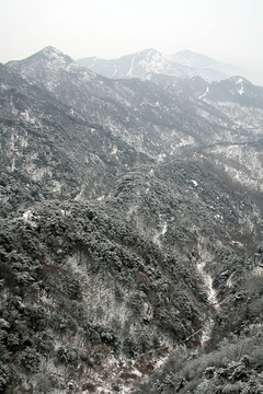 泰山雪景