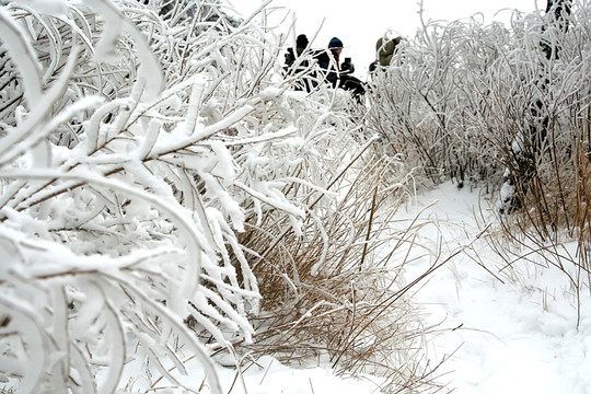 泰山雪景