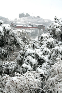 泰山雪景