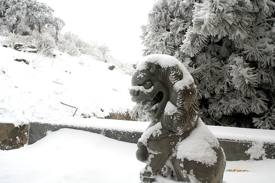 雪后石狮子
