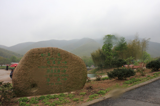 江苏 宜兴 户外 竹海风景区