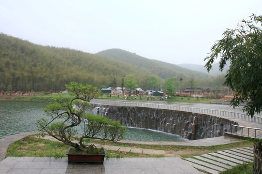 江苏 宜兴 户外 竹海风景区