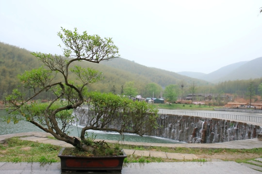 江苏 宜兴 户外 竹海风景区