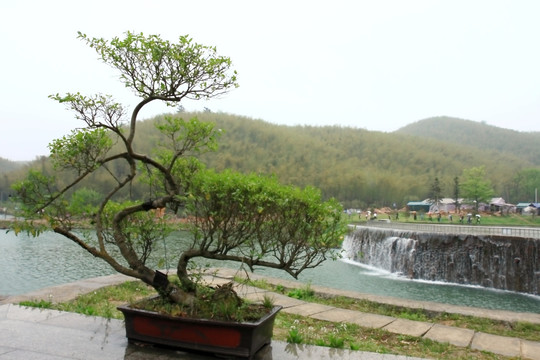 江苏 宜兴 户外 竹海风景区