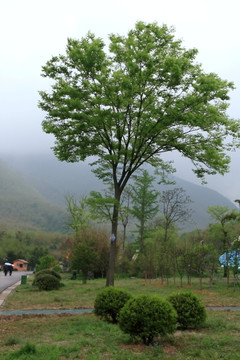 江苏 宜兴 户外 竹海风景区