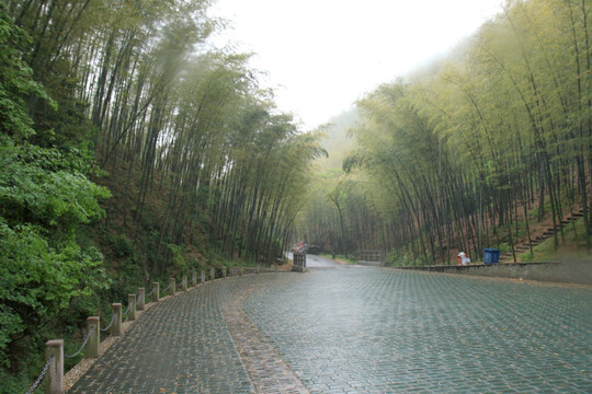 江苏 宜兴 户外 竹海风景区