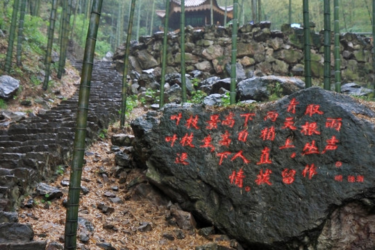 江苏 宜兴 户外 竹海风景区