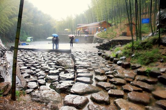 江苏 宜兴 户外 竹海风景区