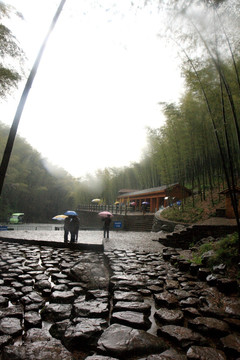 江苏 宜兴 户外 竹海风景区