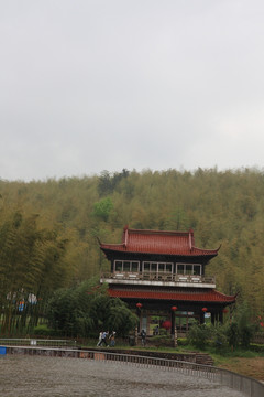 江苏 宜兴 户外 竹海风景区