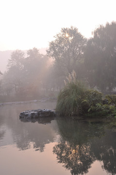 西湖 太子湾 晨雾 秋 日出