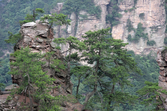 武陵山奇特峰林 自然之美