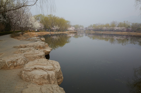 北京植物园jpg