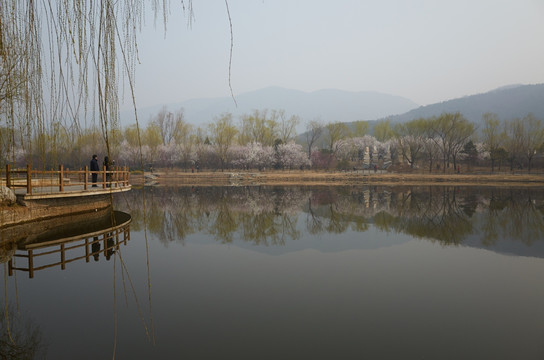 北京植物园jpg