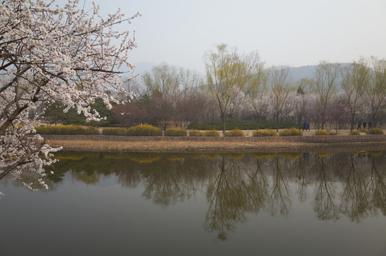 北京植物园jpg