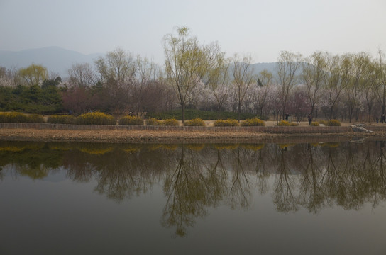 北京植物园jpg