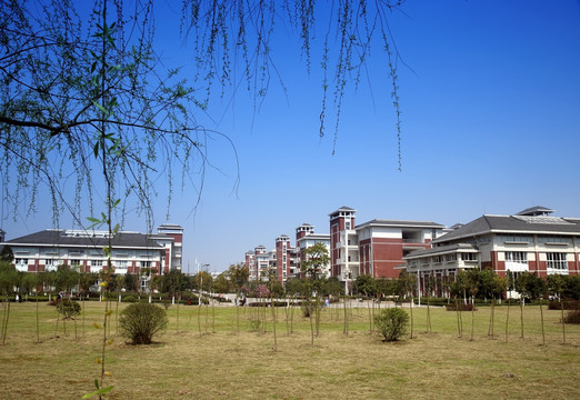 重庆医科大学