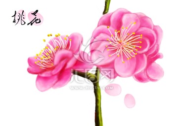手繪花