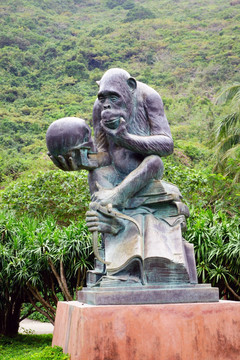 南湾猴岛智慧猴雕塑