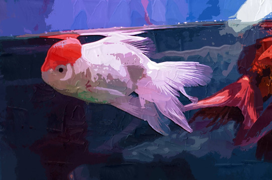 裝飾畫 金魚