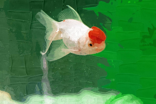 裝飾畫 金魚