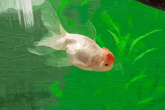 裝飾畫 金魚