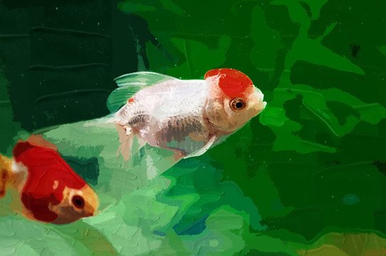 裝飾畫 金魚