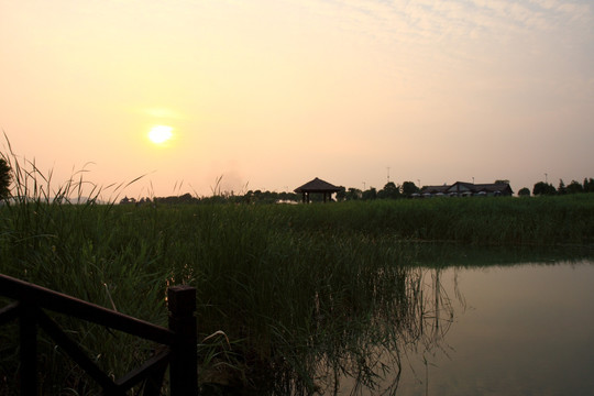 苏州 太湖西山 湿地公园 户外