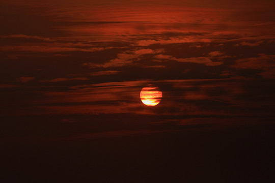 苏州 太湖西山 湿地公园 户外