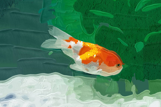 金魚 裝飾畫