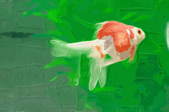 金魚 裝飾畫