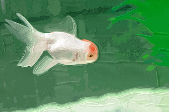 金魚(yú) 裝飾畫(huà)