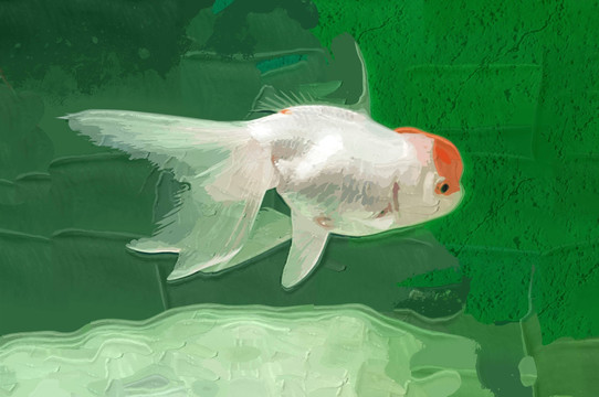 金魚 裝飾畫