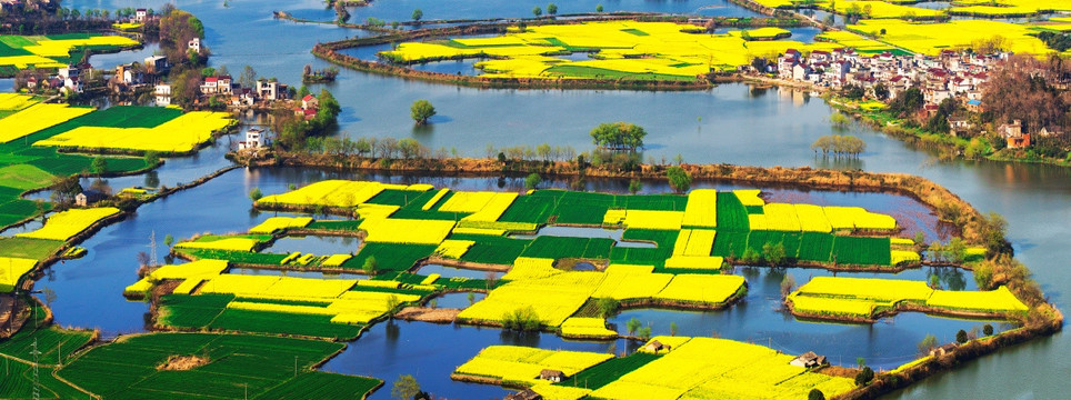 油菜花开响水涧（高清图）