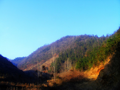 黎明中的群山