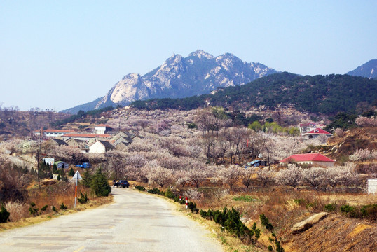 美丽山村