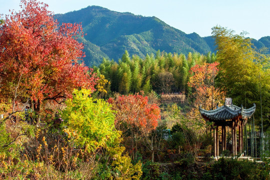 皖南塔川风光（高清图）