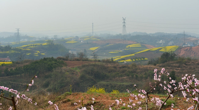 早春田原风光