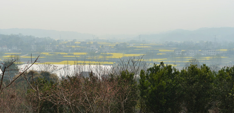 田原风光