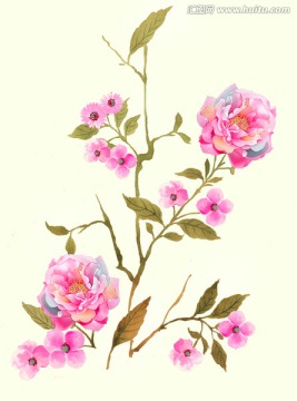 花卉素材