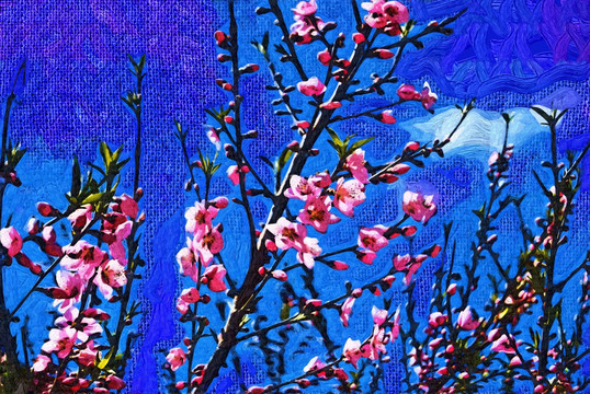 抽象畫(huà) 裝飾畫(huà) 油畫(huà) 無(wú)框畫(huà)