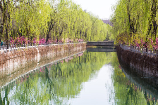 清华大学 河道