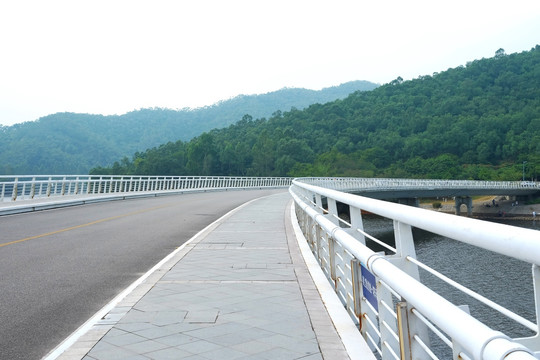 东莞同沙跨湖大桥