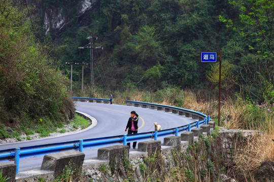 山路 山道弯弯 女人 狗