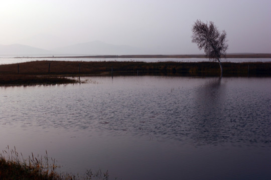 坝上风光