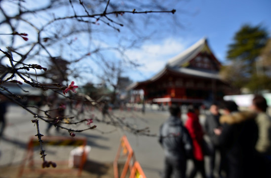 浅草寺