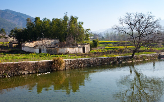 乡村风光