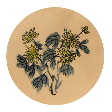 寫意菊花
