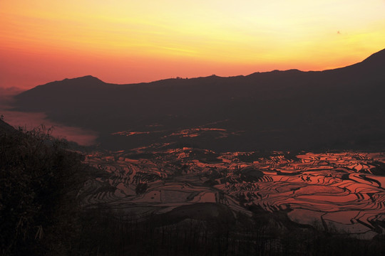 日出元阳美