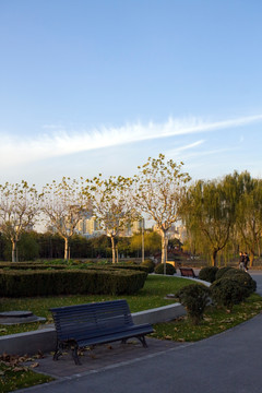 上海 浦东 世纪公园 休闲场所